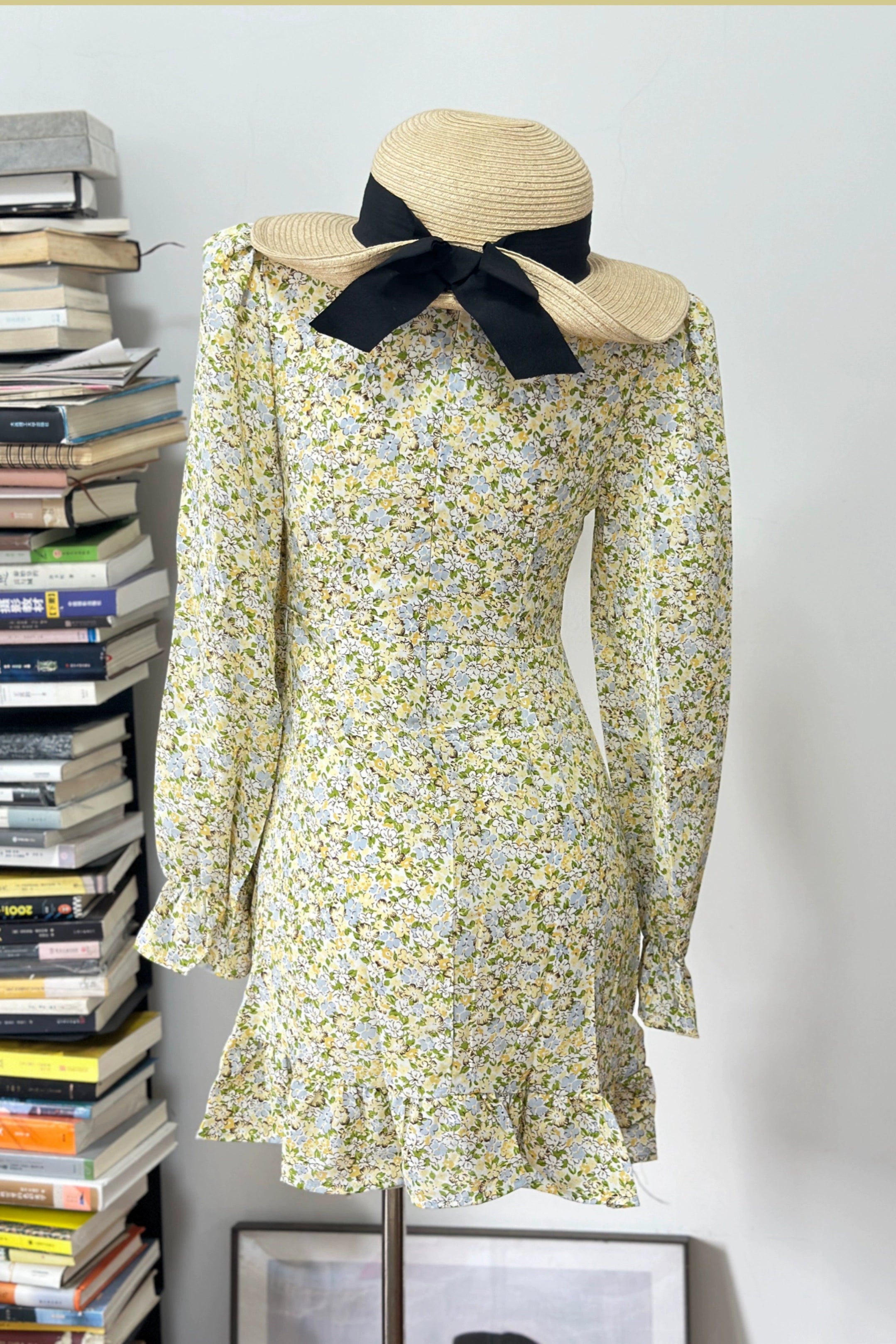 Long Sleeve  Print mini Dress