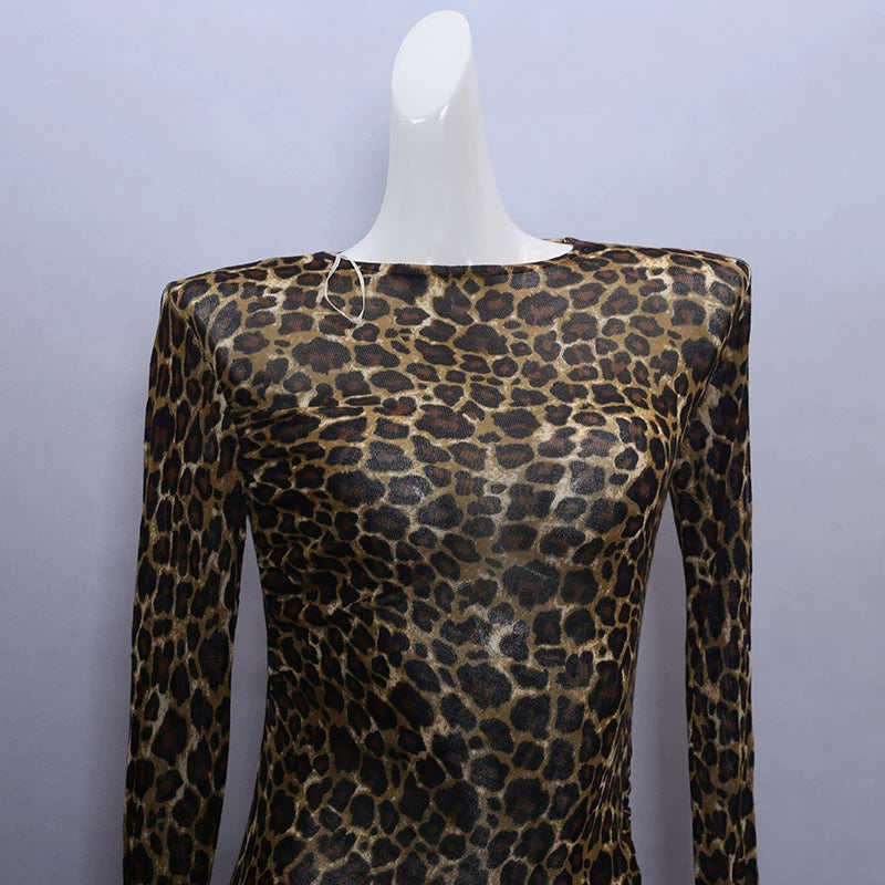 eopard print mesh dress