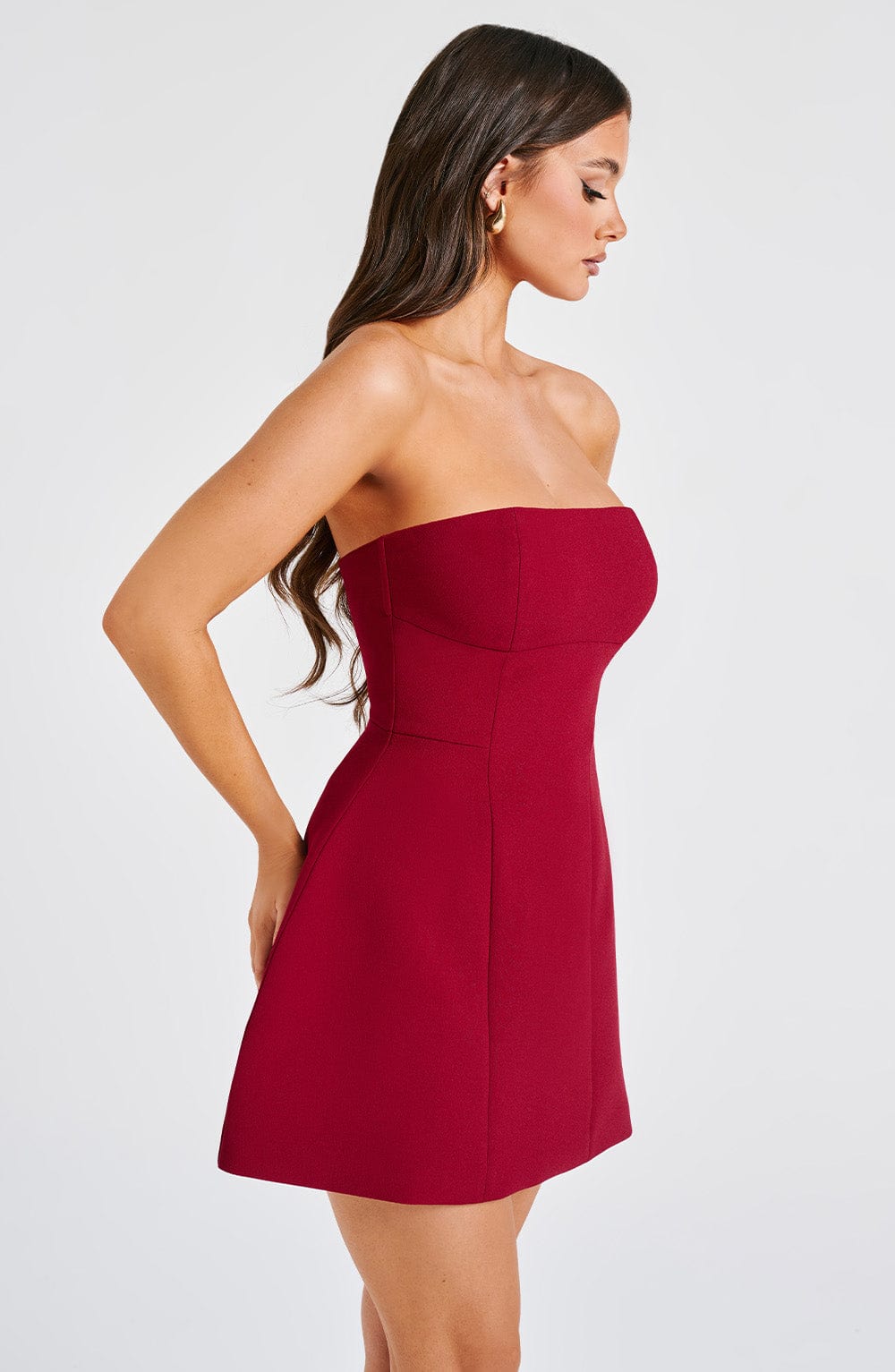 Asha Wine Mini Dress - Elegant Burgundy Party Dress